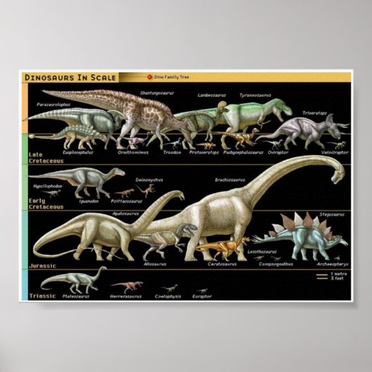 Dinosaur Timeline Biology Poster (Voorkant)