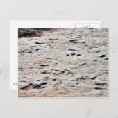 Dinosaur Tracks Briefkaart (Voorkant / Achterkant)