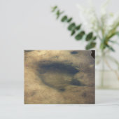 Dinosaur Tracks in Dinosaur Valley 5 briefkaart (Staand voorkant)