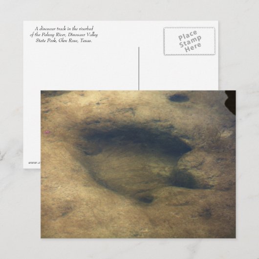 Dinosaur Tracks in Dinosaur Valley 5 briefkaart (Voorkant / Achterkant)