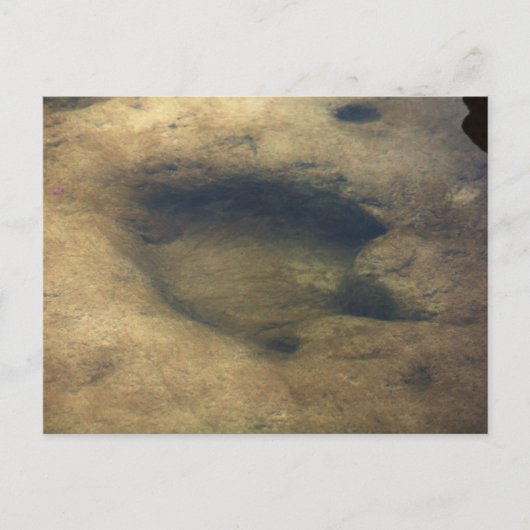 Dinosaur Tracks in Texas 2 briefkaart (Voorkant)