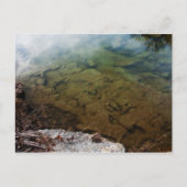 Dinosaur Tracks in Texas 3 briefkaart (Voorkant)