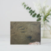 Dinosaur Tracks in Texas 5 briefkaart (Staand voorkant)