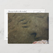 Dinosaur Tracks in Texas 5 briefkaart (Voorkant / Achterkant)