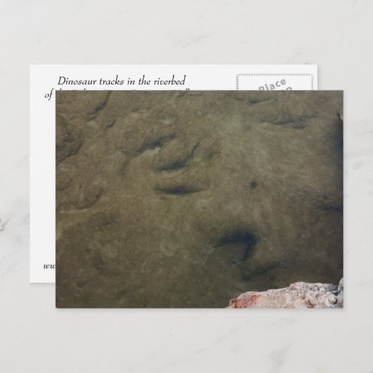 Dinosaur Tracks in Texas 5 briefkaart (Voorkant / Achterkant)