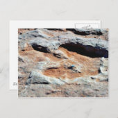 Dinosaur Tracks North of Flagstaff Briefkaart (Voorkant / Achterkant)