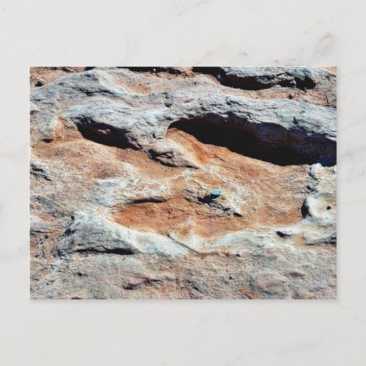 Dinosaur Tracks North of Flagstaff Briefkaart (Voorkant)