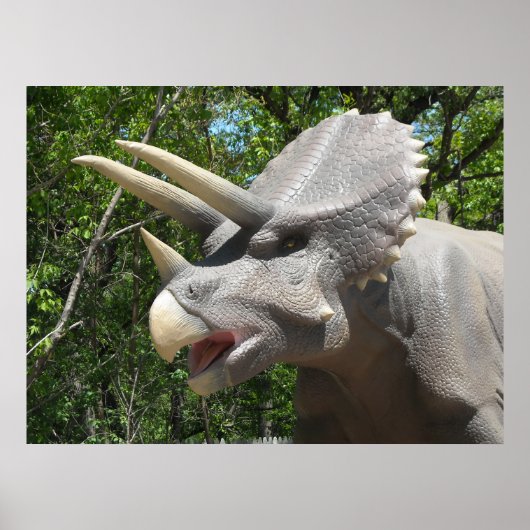Dinosaur Triceratops Poster (Voorkant)
