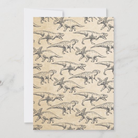 Dinosaur verjaardagfoto uitnodiging kleurig (Achterkant)