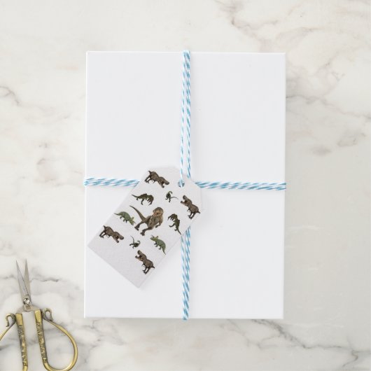 Dinosaur wrapppapier cadeaulabel (Met Touw)
