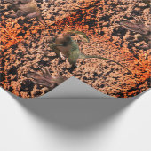 Dinosaur wrapppapier cadeaupapier (Hoek)