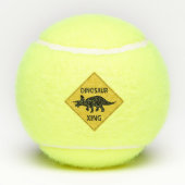 Dinosaur Xing Tennisballen (Achterkant)