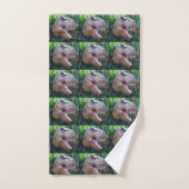 Dinosauriërs voor handdoeken (Handdoek)