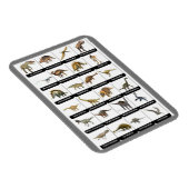 Dinosaurs Chart Magnet Magneet (Rechterzijde)