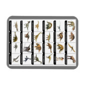 Dinosaurs Chart Magnet Magneet (Horizontaal)