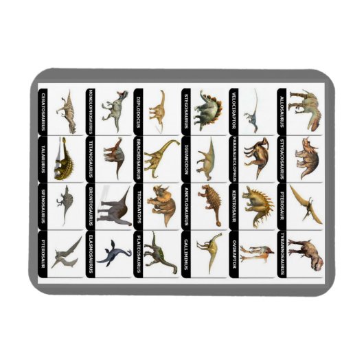 Dinosaurs Chart Magnet Magneet (Horizontaal)