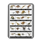 Dinosaurs Chart Magnet Magneet (Verticaal)