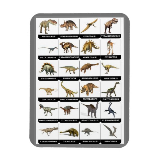 Dinosaurs Chart Magnet Magneet (Verticaal)