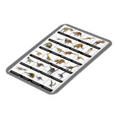 Dinosaurs Chart Magnet Magneet (Linkerzijde)