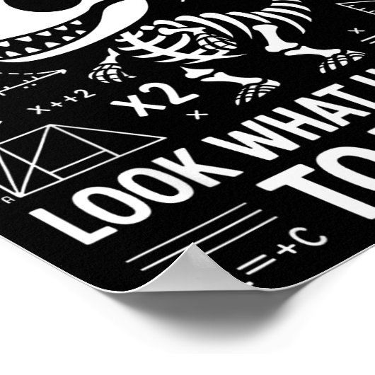 Dinosaurs Didn't Learn Math Funny Math Teacher Stu Poster (Hoek)