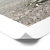 Dinosaurs Poster (Hoek)