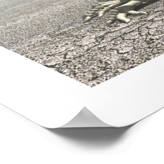 Dinosaurs Poster (Hoek)