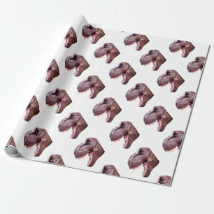 Dinosaurs T-Rex Cadeaupapier