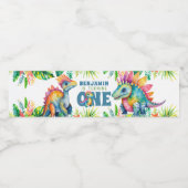 Dinosaurus 1e Verjaardagsfeestje Jongen Kleurrijke Waterfles Etiket (Enkel label)