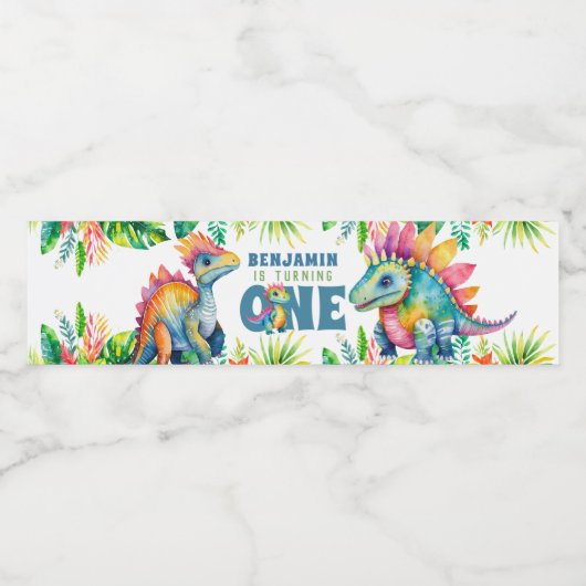 Dinosaurus 1e Verjaardagsfeestje Jongen Kleurrijke Waterfles Etiket (Enkel label)