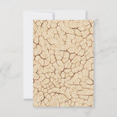 Dinosaurus bedankkaart (Achterkant)