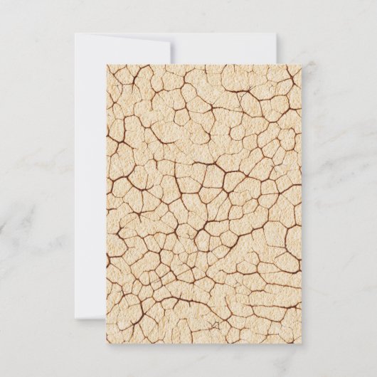 Dinosaurus bedankkaart (Achterkant)