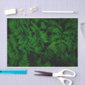 Dinosaurus Bos Tissuepapier (Craft)