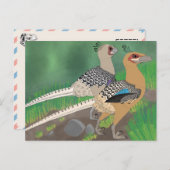 Dinosaurus briefkaart - Acheroraptor (Voorkant / Achterkant)
