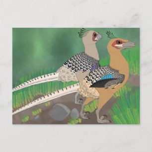 Dinosaurus briefkaart - Acheroraptor