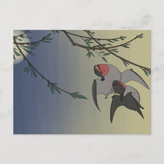 Dinosaurus briefkaart - Anurognathus (Voorkant)