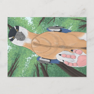 Dinosaurus briefkaart - Dromaeopodus