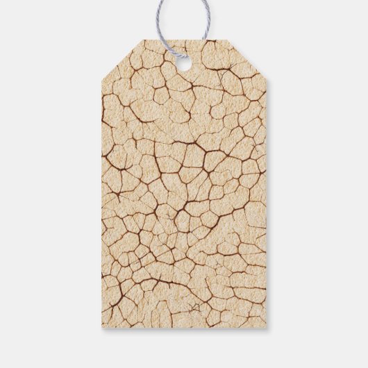 Dinosaurus Dank u Labels Cadeaulabel (Achterkant)