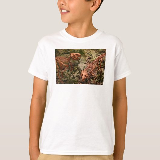 dinosaurus, Dinorama kinder shirt (Voorkant)