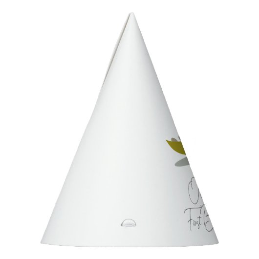 Dinosaurus Geel Groen Grijs Eerste Verjaardag Feesthoedjes (Links)