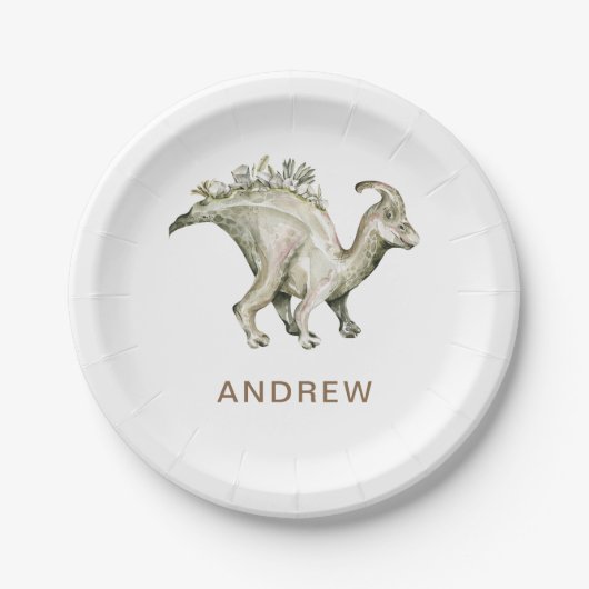 Dinosaurus gepersonaliseerd verjaardagsfeestje papieren bordje (Voorkant)