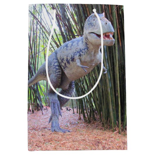 Dinosaurus Gift Bag - Daspletosaur Medium Cadeauzakje (Voorkant)