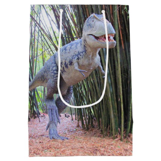 Dinosaurus Gift Bag - Daspletosaur Medium Cadeauzakje (Achterkant)