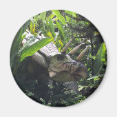 Dinosaurus in het wild magneet (Voorkant)