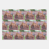 Dinosaurus inpakpapier vellen - 3 design (Voorkant 2)