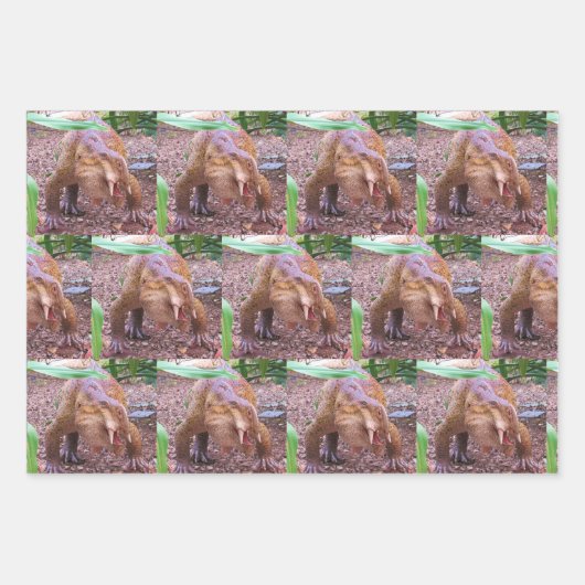 Dinosaurus inpakpapier vellen - 3 design (Voorkant 2)