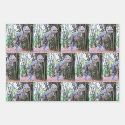 Dinosaurus inpakpapier vellen - 3 design (Voorkant)