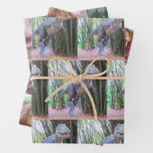 Dinosaurus inpakpapier vellen - 3 design (In situ)