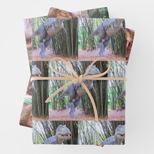 Dinosaurus inpakpapier vellen - 3 design (In situ)
