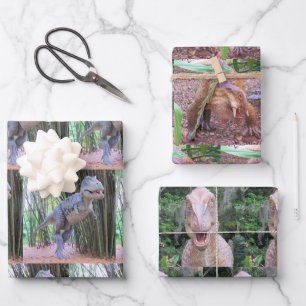 Dinosaurus inpakpapier vellen - 3 design