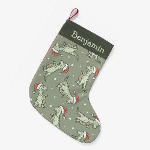 Dinosaurus Kerst Jongen Kerstman Dino T-Rex Salie Kleine Kerstsok